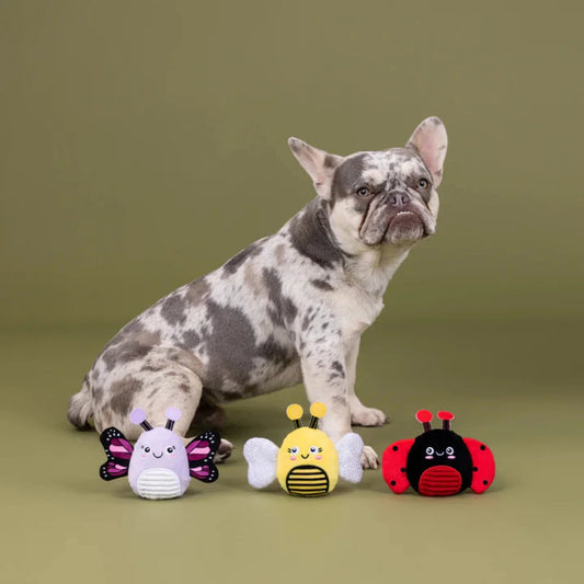 The Ultimate Guide to Safe Play: Top 10 Mistakes When Choosing Pet Toys