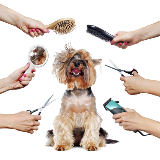 Pet Grooming Do's And Don'ts