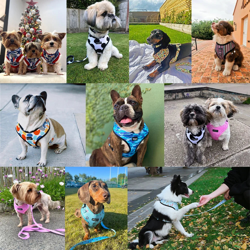 OKKPETS Printed Design Dog Harness&Collar&Leash Etc Accessories Polyester Adjustable Pet Vest Harness Set For Small Medium Large