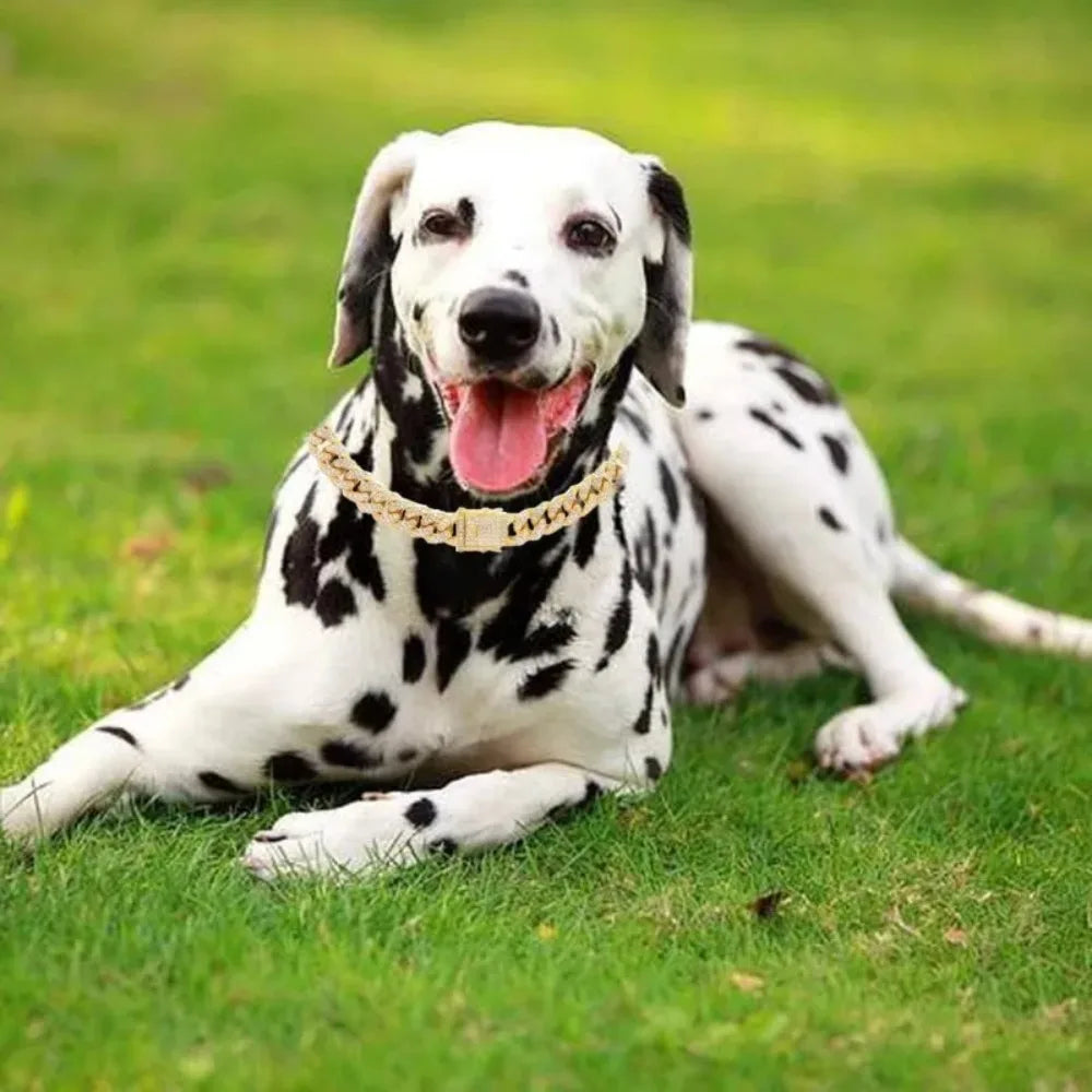 Cuban Chain Dog Collar Stainless Steel Adjustable Safety Buckle Walking Collar for Small Medium Breeds