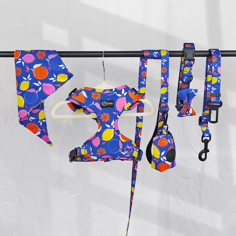 OKKPETS Printed Design Dog Harness&Collar&Leash Etc Accessories Polyester Adjustable Pet Vest Harness Set For Small Medium Large